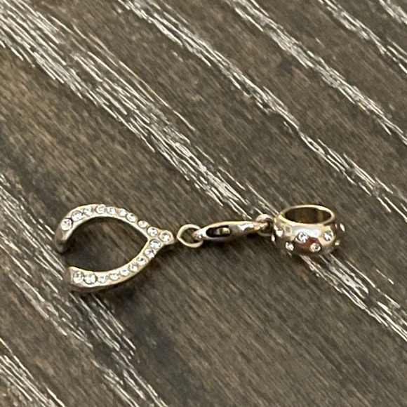 COPY - COPY - Silver Wishbone Brighton Charm - Picture 3 of 6